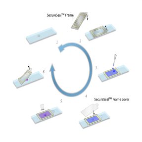 SecureSeal™ Frame instructions for use image